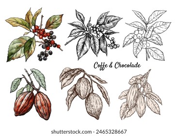 Coffee tree. Branch with leaves and berries. Seamless pattern, background. Vector illustration. In botanical style