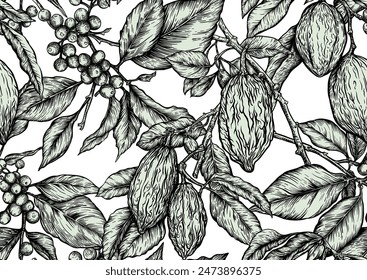 Coffee tree. Branch with leaves and berries. Cocoa tree branch with cocoa beans, chocolate beans, Seamless pattern, background. Vector illustration. In botanical style