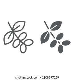 Coffee tree branch line and glyph icon, coffee and cafe, nature sign vector graphics, a linear pattern on a white background, eps 10.