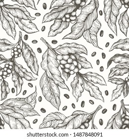 Coffee tree branch seamless vector pattern. Retro coffee background. Hand drawn engraved style illustration.