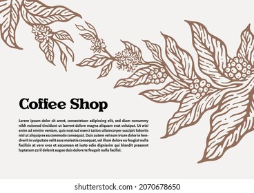 Coffee tree branch template with natural coffee leaves and beans. Botanical illustration.