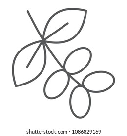 Coffee tree branch thin line icon, coffee and cafe, nature sign vector graphics, a linear pattern on a white background, eps 10.