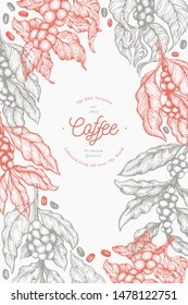 Coffee tree branch vector illustration. Vintage coffee background. Hand drawn engraved style illustration.