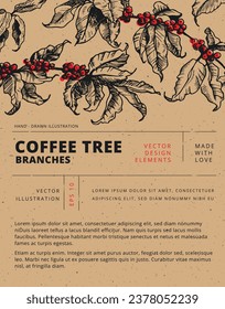 Coffee tree branches with berries.  Vector hand-drawn old book linotype style illustration. Сarefully drawn objects for engraving style design. Botanical line art.