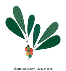 coffee tree design over white
