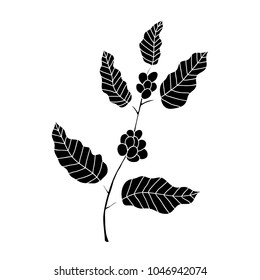 coffee tree doodle icon