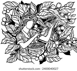 coffee tree and farmer of ink drawing sketch on background for label packaging, poster, banner, brochure, art print, painting illustration, book cover, book illustration 