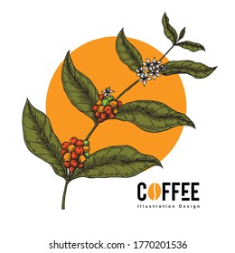 coffee tree with hand draw style