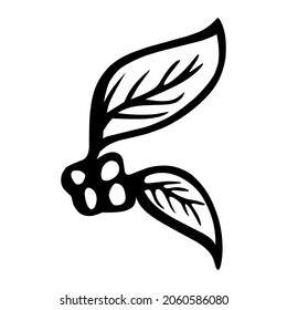 coffee tree of coffee hand drawn illustration