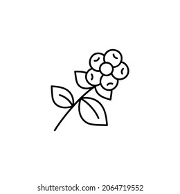 Coffee tree  icon in flat black line style, isolated on white 