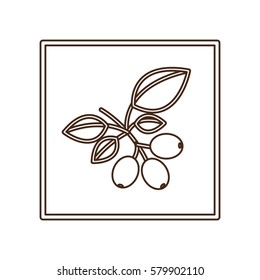 coffee tree icon image design, vector illustration