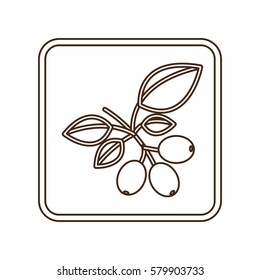 coffee tree icon image design, vector illustration