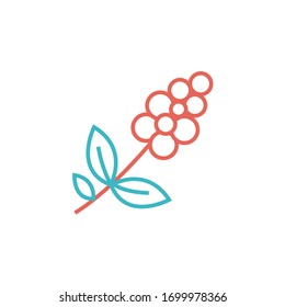 coffee tree icon vector illustration two color line style design. isolated on white background