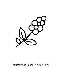 coffee tree icon vector illustration outline style design. isolated on white background