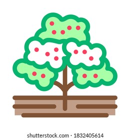 coffee tree icon vector. coffee tree sign. color symbol illustration