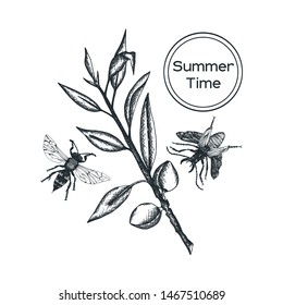 Coffee tree illustration. Engraved style illustration. Vintage coffee. Vector illustration. Highly detailed set of botanical sketched elements for t-shirt prints
