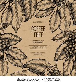 Coffee tree illustration. Engraved style illustration. Vintage coffee frame. Vector illustration