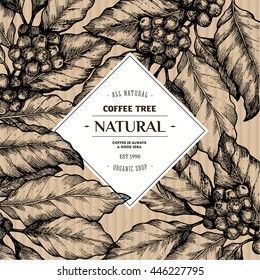 Coffee Tree Illustration. Engraved Style Illustration. Vintage Coffee Frame. Vector Illustration