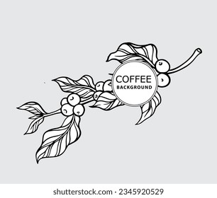 coffee tree of ink sketch drawing for background, poster, packaging, banner, label, advertising, art print, pattern fabric. coffee bean of black line background vector.