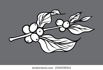 coffee tree of ink sketch drawing for background, poster, packaging, banner, label, advertising, art print, pattern fabric. coffee bean of black line background vector.
