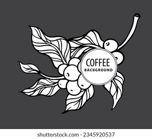 coffee tree of ink sketch drawing for background, poster, packaging, banner, label, advertising, art print, pattern fabric. coffee bean of black line background vector.