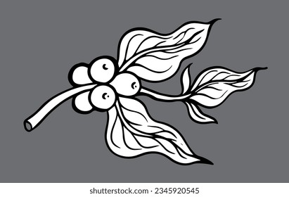 coffee tree of ink sketch drawing for background, poster, packaging, banner, label, advertising, art print, pattern fabric. coffee bean of black line background vector.