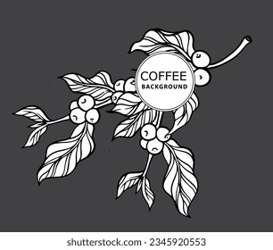 coffee tree of ink sketch drawing for background, poster, packaging, banner, label, advertising, art print, pattern fabric. coffee bean of black line background vector.