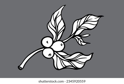 coffee tree of ink sketch drawing for background, poster, packaging, banner, label, advertising, art print, pattern fabric. coffee bean of black line background vector.