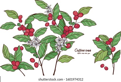 Coffee tree in nature illustration