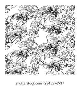 coffee tree pattern of sketch ink drawing for background, banner, fabric, art print, poster, packaging, label, card.