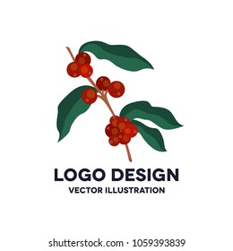 coffee tree vector icon