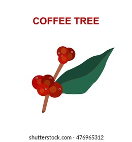 coffee tree. vector illustration