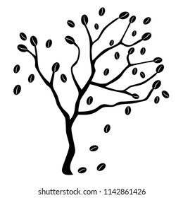 Coffee tree,on white background.