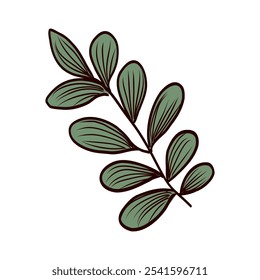 Coffee twig with leaves in flat design. Abstract arabica plant branch. Vector illustration isolated.