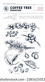 Ramas de árbol del café con hojas, flores y bayas: arte de línea botánica. Conjunto de ilustraciones de estilo de linotipo de libro antiguo dibujado a mano por Vector. С objetos dibujados por completo para el diseño de estilos de grabado.