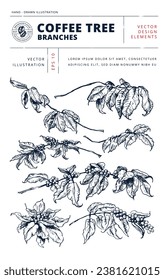 Coffee vector art. Tree branches with leaves and berries: botanical line art. Set of Vector hand-sketched old book linotype style illustrations. Сarefully drawn objects for engraving style design