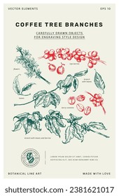 Coffee vector art. Tree branches with leaves and berries: botanical line art. Set of Vector hand-sketched old book linotype style illustrations. Сarefully drawn objects for engraving style design