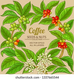 coffee vector frame