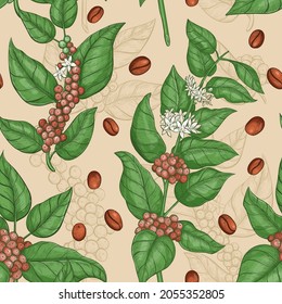 Coffee Vector Seamless Pattern. Design Textile Illustration With Coffee Plant, Vintage Style. Seamless Floral Art Print With Coffee Beans, Leaves, For Fabric, Wallpaper, Gift Wrap, Product Packaging.