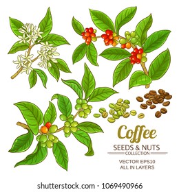 coffee vector set