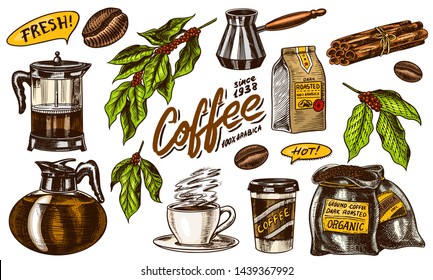 Coffee in vintage style. A bag of grain, cocoa leaves, cinnamon sticks, a cup and a teapot, a coffee maker and a bag of milk, calligraphic inscription. Hand drawn engraved retro sketch for labels.