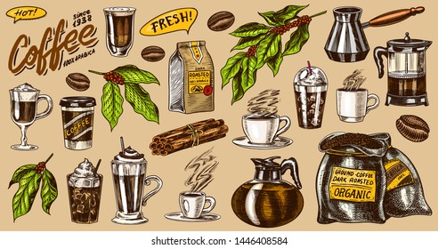 Coffee in vintage style. A bag of grain, cocoa leaves, cinnamon sticks, a cup and a teapot, a coffee maker and a bag of milk, calligraphic inscription. Hand drawn engraved retro sketch for labels.