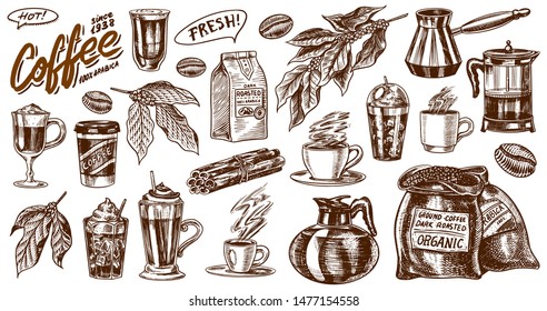 Coffee in vintage style. A bag of grain, cocoa leaves, cinnamon sticks, a cup and a teapot, a coffee maker and a bag of milk, calligraphic inscription. Hand drawn engraved retro sketch for labels.