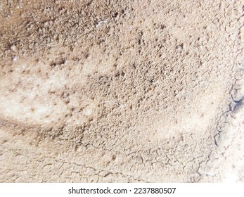 Coffee Wet Structure. Brown Coffee Sheet. Brown Paper Spatter. Dirty Old Drop Cardboard. Grain Food Vector. Carton Dye Surface. White Coffee Poster. Dirty Spot Pattern. Embossed Dirty Coffee Texture.