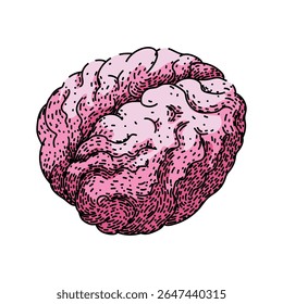 cognição mão desenhada do cérebro. neurônios da memória, neuroplasticidade da sinapse, percepção consciência cognição esboço do vetor cerebral.