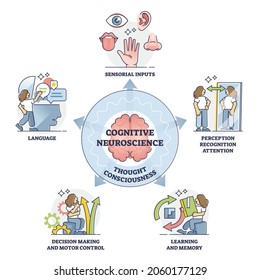 Cognitive neuroscience and thought consciousness processes, outline diagram. Sensory input, language, decision making and motor control, learning and memory, self perception, recognition and attention