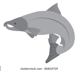 Coho Salmon Fish in Grayscale Vector Illustration