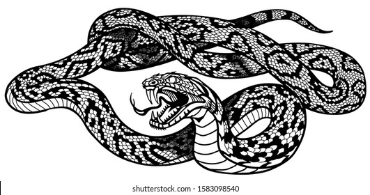 Coiled aggressive snake. Black and white tattoo style vector illustration 