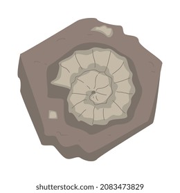 Coiled Ammonite in Soil as Archeology and Paleontology Ancient Artifact and Remain Vector Illustration