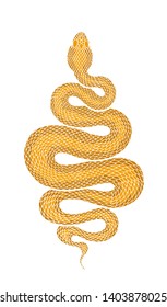 Coiled light brown snake detailed illustration. Tribal serpent isolated over white background. Vector tattoo design.